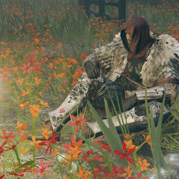 Pirate’s Bloom Online